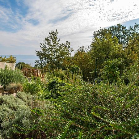 Villa Luce Labin  Zewnętrze zdjęcie